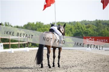 181449_kbb_02_6II1344.JPG