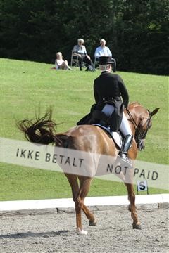 135676_sg_01_IMG_7799.JPG