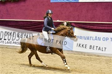 161006_abo_01__D050429.JPG