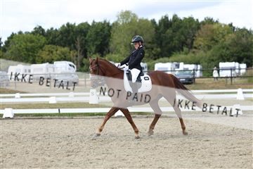 181894_mtp_05_R62_4693.JPG