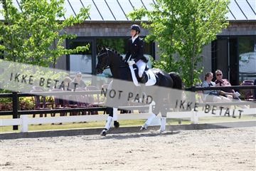 174806_jss_01_R6II0234.JPG