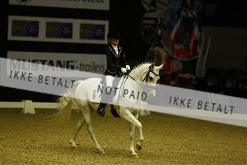 144963_ms_01__MG_9877.JPG