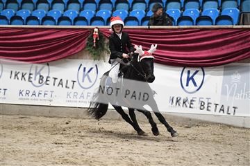 170268_abo_01_D05_7421.JPG