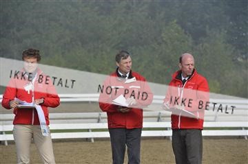 136195_abo_01__AB15408.JPG