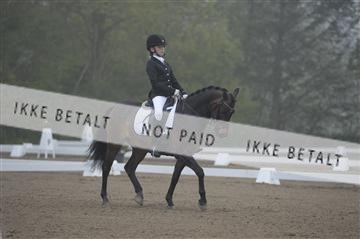 155778_ms_01__MS14432.JPG