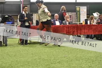 163793_bkn_01__BKN7459.JPG