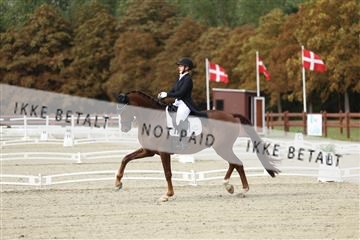 181923_mtp_03_R62_7293.JPG