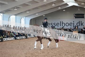 179022_kbb_01_R6II2543.JPG