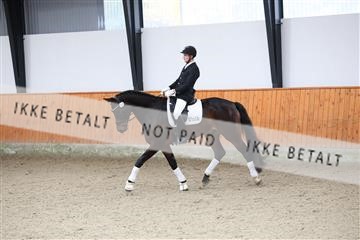 175681_avh_01_R62_0182.JPG