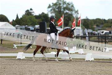 181894_mtp_03_R62_2925.JPG