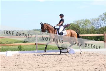 181449_bc_01R62_5800.JPG
