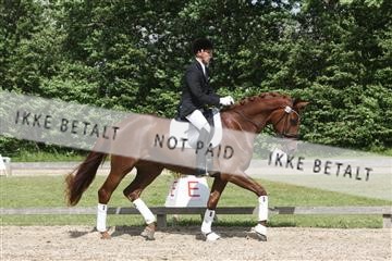 135518_ms_02_IMG_2755.JPG