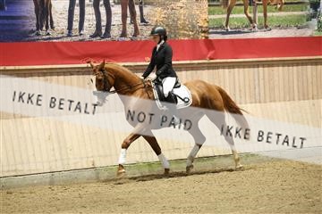 175676_avh_01_R62_4478.JPG