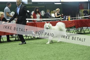 163793_bkn_01__BKN9170.JPG