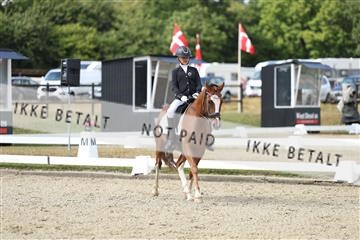 181894_mtp_05_R62_4455.JPG