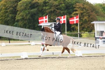 181894_mtp_02_R62_1143.JPG