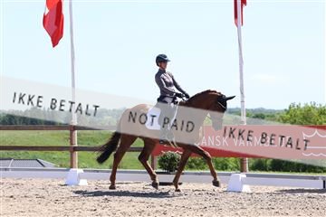 181449_bc_01R62_5684.JPG