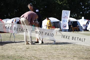 181848_kar_01__62_3182.JPG