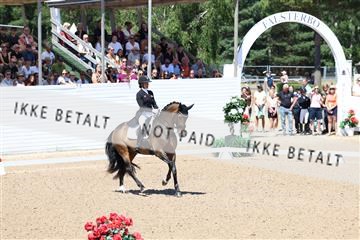 181726_mlm_01_R62_0060.JPG