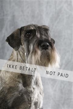 129608_le_ 02_0439.JPG