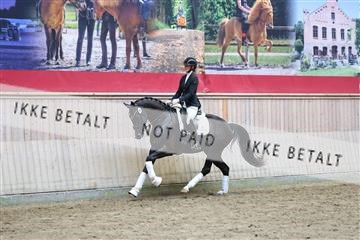 181887_mtp_04_R62_9330.JPG