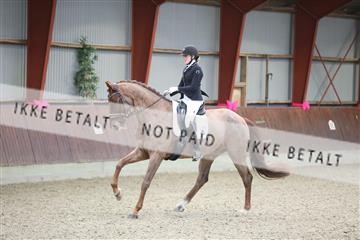 173883_mtp_01_3M5A1301.JPG
