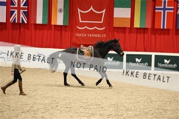178838_mtp_04_0E6A4508.JPG