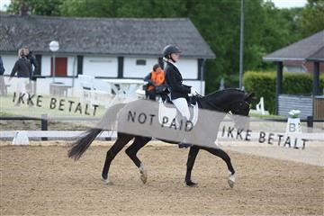 147698_nn_01_IMG_0257.JPG