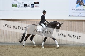 160111_nn_01__ESK1693.JPG