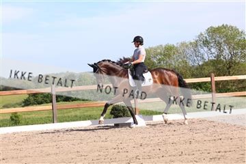 181449_bc_01R62_5978.JPG