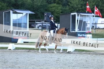 181894_mtp_05_R62_5416.JPG