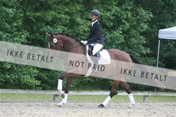 135518_ms_01_IMG_0882.JPG