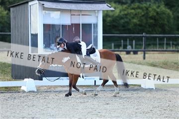 181894_mtp_05_R62_5343.JPG