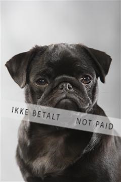 129608_le_ 01_0170.JPG