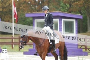 181923_mtp_03_R62_7829.JPG