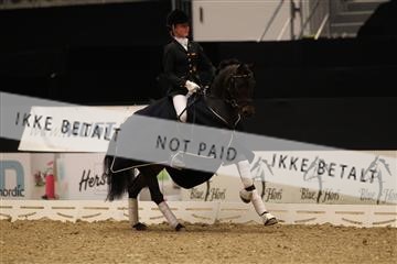 126407_abo_01_IMG_1458.JPG