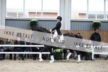 179088_mtp_01_3M5A3981.JPG
