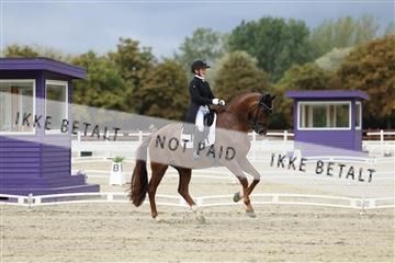 181923_mtp_03_R62_7332.JPG