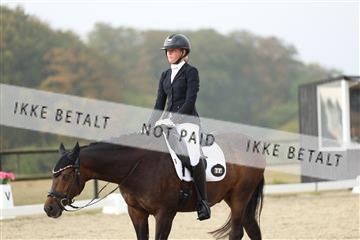181894_mtp_04_R62_3540.JPG