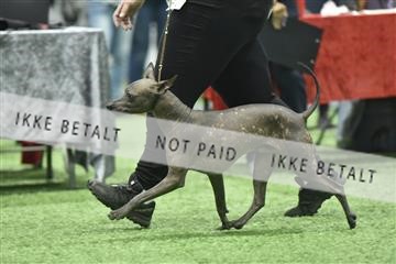 163793_bkn_01__BKN9276.JPG