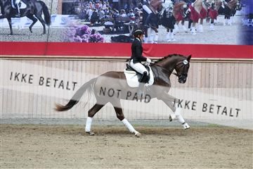181887_mtp_04_R62_8955.JPG
