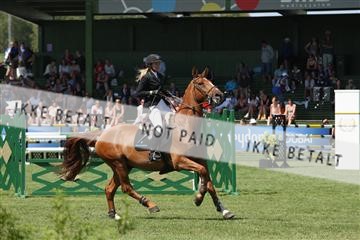 125257_abo_03_IMG_0040.JPG