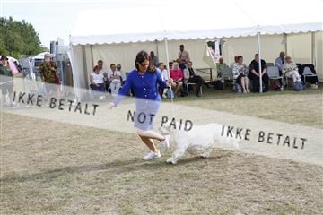 181848_kar_01__62_1226.JPG