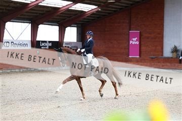 175442_kbb_01_R6II0106.JPG