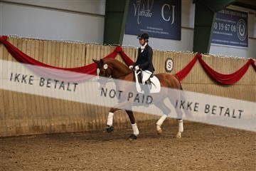 170266_mtp_01_3M5A0378.JPG