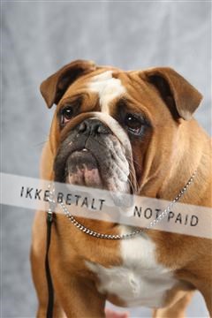 129608_le_ 02_0351.JPG