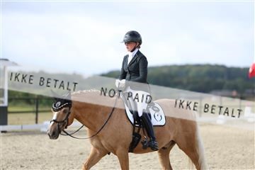 181894_mtp_04_R62_3887.JPG