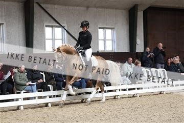 179104_avh_01_3148.JPG