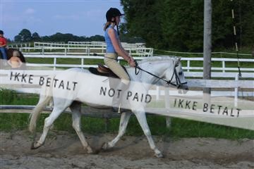 110-1040_IMG.JPG