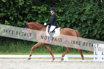 172073_mtp_01_3M5A3147.JPG